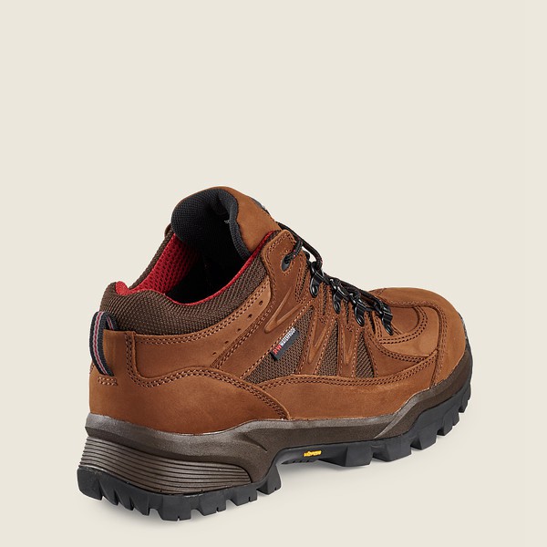 Botas Red Wing Hiking Hombre Marrom - Truhiker - 3-Inch Waterproof Safety Toe - 860-KJWAHM